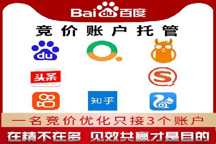 成功之道：竞价推广公司经典案例分析